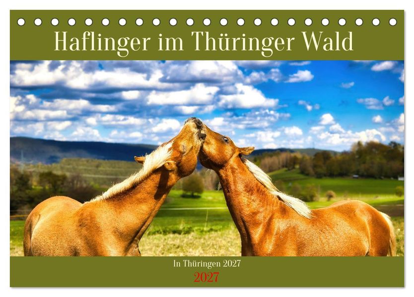 Haflinger im Thüringer Wald (Tischkalender 2027 DIN A5 quer) CALVENDO Monatskalender