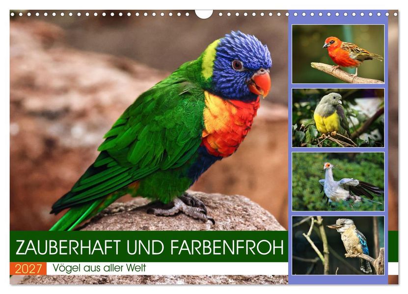 Zauberhaft und farbenfroh (Wandkalender 2027 DIN A3 quer) CALVENDO Monatskalender