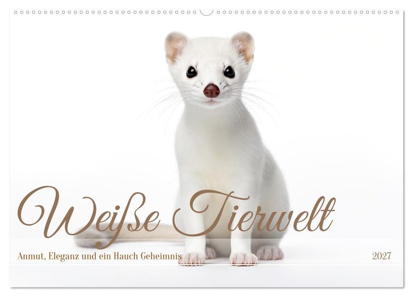 Weiße Tierwelt (Wandkalender 2027 DIN A2 quer) CALVENDO Monatskalender