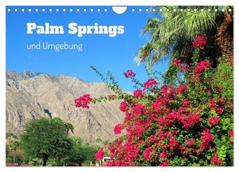 Palm Springs und Umgebung (Wandkalender 2027 DIN A4 quer) CALVENDO Monatskalender
