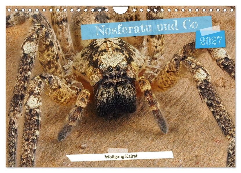 Nosferatu und Co. (Wandkalender 2027 DIN A4 quer) CALVENDO Monatskalender