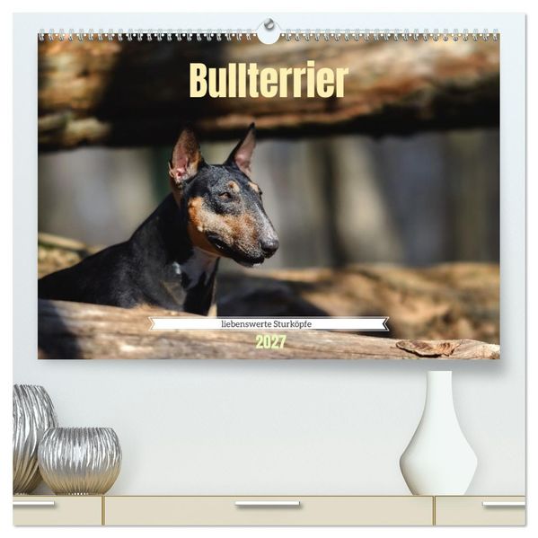 Bullterrier liebenswerte Sturköpfe (hochwertiger Premium Wandkalender 2027 DIN A2 quer) Kunstdruck in Hochglanz