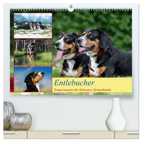 Entlebucher - Temperamentvolle Schweizer Sennenhunde (hochwertiger Premium Wandkalender 2027 DIN A2 quer) Kunstdruck in Hochglanz