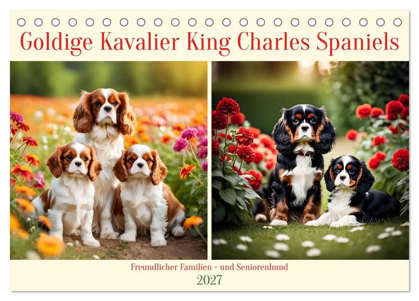 Goldige Kavalier King Charles Spaniels (Tischkalender 2027 DIN A5 quer) CALVENDO Monatskalender