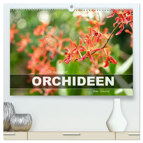 Orchidaceae - Orchideen (hochwertiger Premium Wandkalender 2027 DIN A2 quer) Kunstdruck in Hochglanz