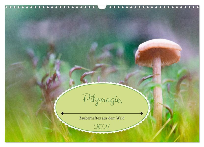 Pilzmagie (Wandkalender 2027 DIN A3 quer) CALVENDO Monatskalender