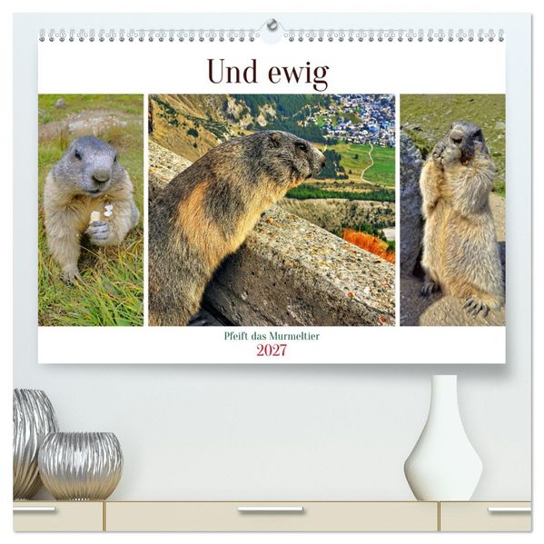 Und ewig pfeift das Murmeltier (hochwertiger Premium Wandkalender 2027 DIN A2 quer) Kunstdruck in Hochglanz