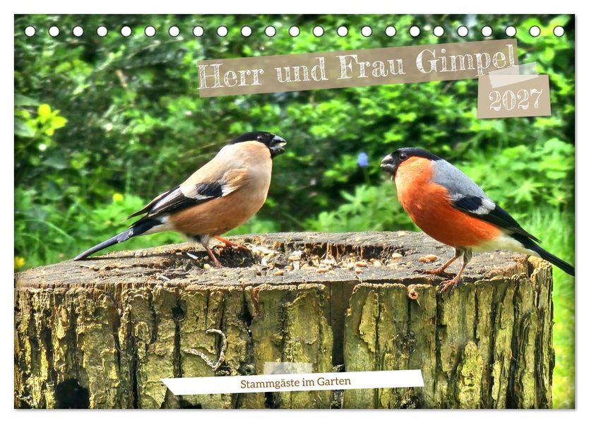 Herr und Frau Gimpel - Stammgäste im Garten (Tischkalender 2027 DIN A5 quer) CALVENDO Monatskalender