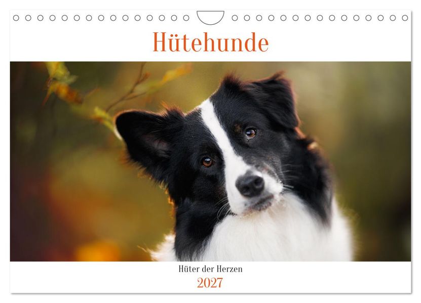 Hütehunde - Hüter der Herzen (Wandkalender 2027 DIN A4 quer) CALVENDO Monatskalender