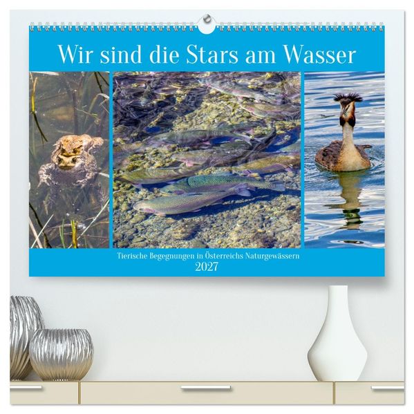 Wir sind die Stars am Wasser (hochwertiger Premium Wandkalender 2027 DIN A2 quer) Kunstdruck in Hochglanz