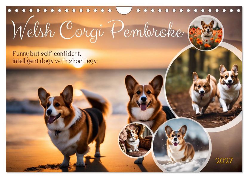 Welsh Corgi Pembroke (Wall Calendar 2027 DIN A4 landscape) CALVENDO 12 Month Wall Calendar