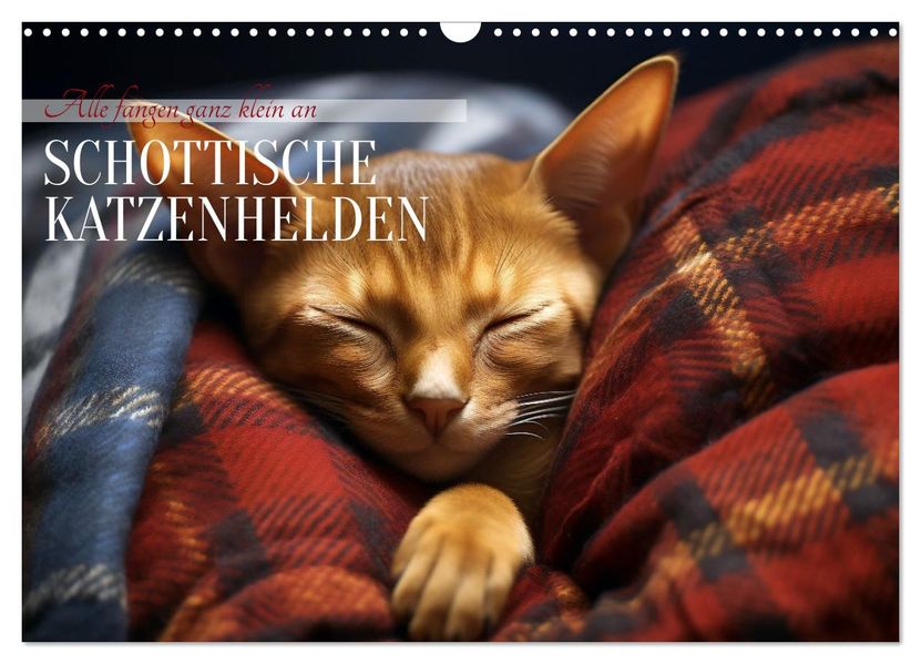 Schottische Katzenhelden (Wandkalender 2027 DIN A3 quer) CALVENDO Monatskalender