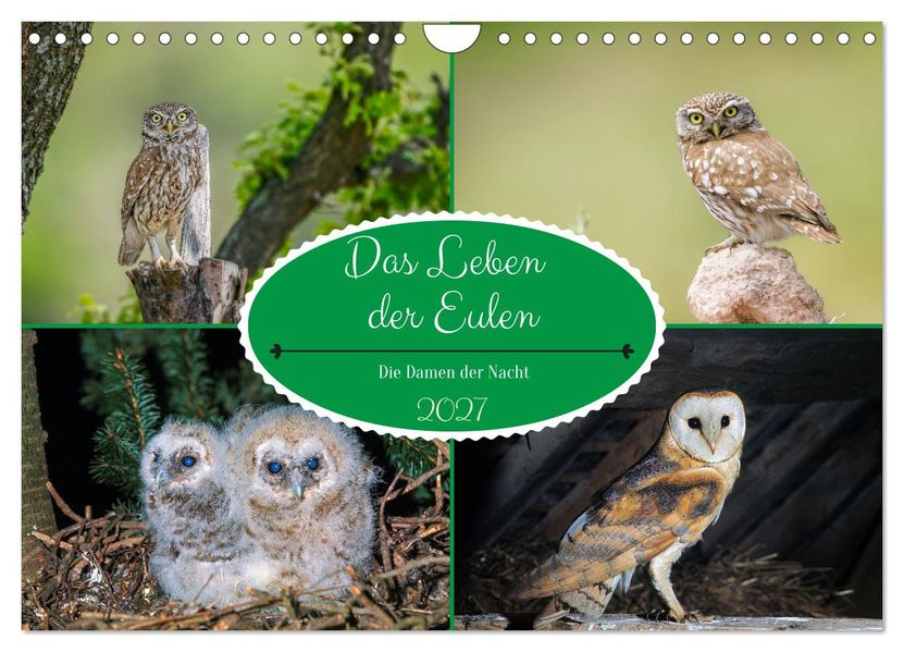 Das Leben der Eulen die Damen der Nacht (Wandkalender 2027 DIN A4 quer) CALVENDO Monatskalender