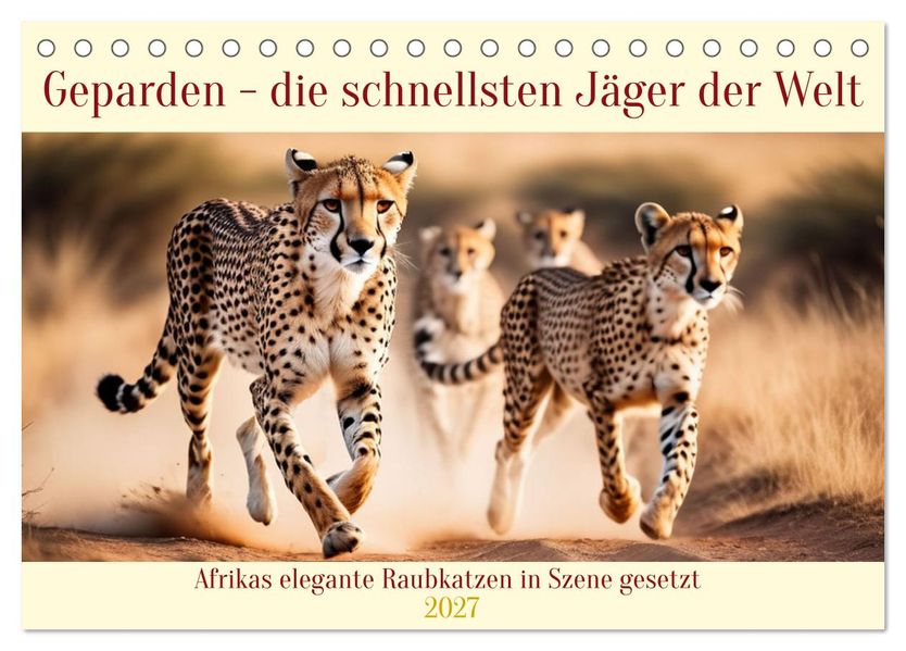 Geparden - die schnellsten Jäger der Welt (Tischkalender 2027 DIN A5 quer) CALVENDO Monatskalender