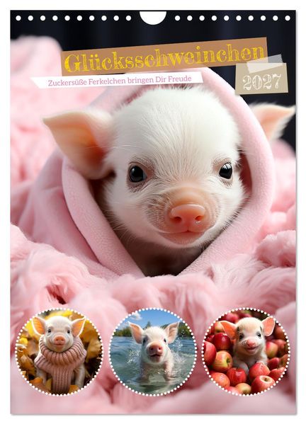Glücksschweinchen (Wandkalender 2027 DIN A4 hoch) CALVENDO Monatskalender