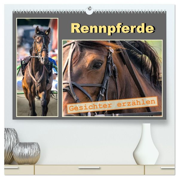 Rennpferde - Gesichter erzählen (hochwertiger Premium Wandkalender 2027 DIN A2 quer) Kunstdruck in Hochglanz