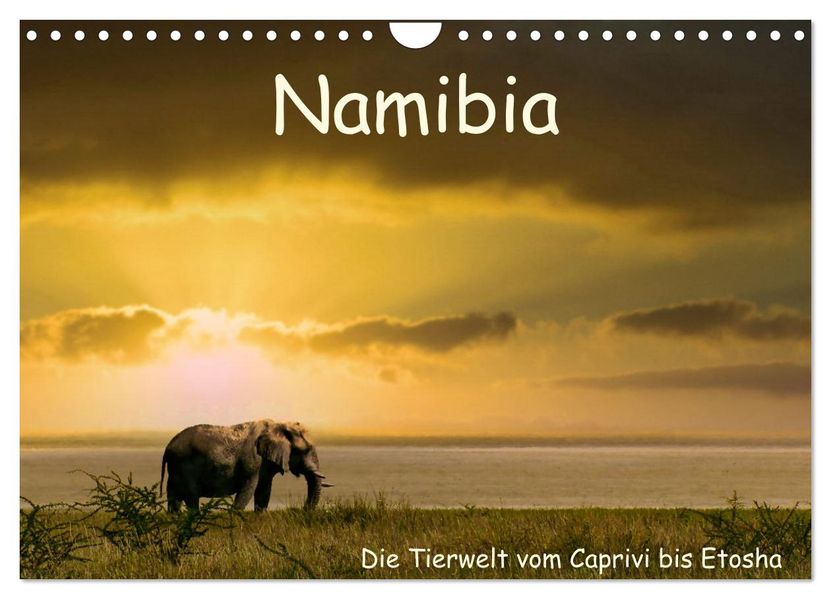 Namibia - Die Tierwelt vom Caprivi bis Etosha (Wandkalender 2027 DIN A4 quer) CALVENDO Monatskalender