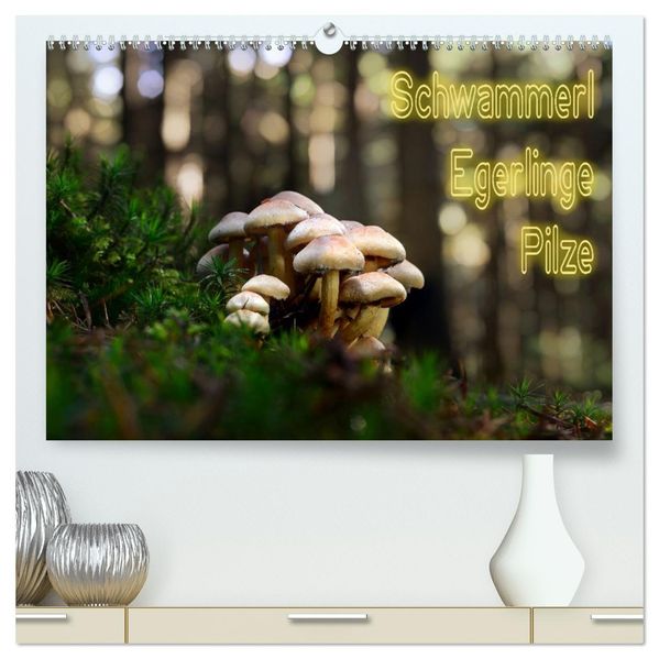 Schwammerl Egerlinge Pilze (hochwertiger Premium Wandkalender 2027 DIN A2 quer) Kunstdruck in Hochglanz
