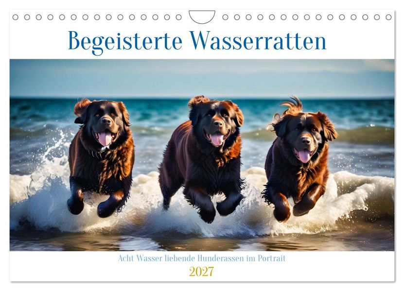 Begeisterte Wasserratten (Wandkalender 2027 DIN A4 quer) CALVENDO Monatskalender