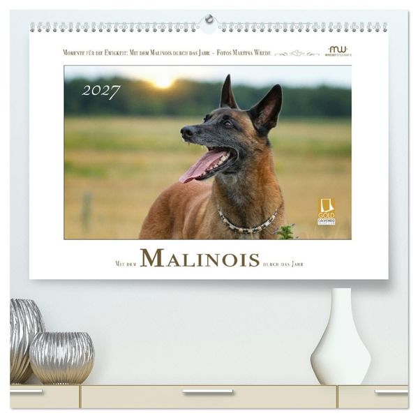 Mit dem Malinois durch das Jahr (hochwertiger Premium Wandkalender 2027 DIN A2 quer) Kunstdruck in Hochglanz