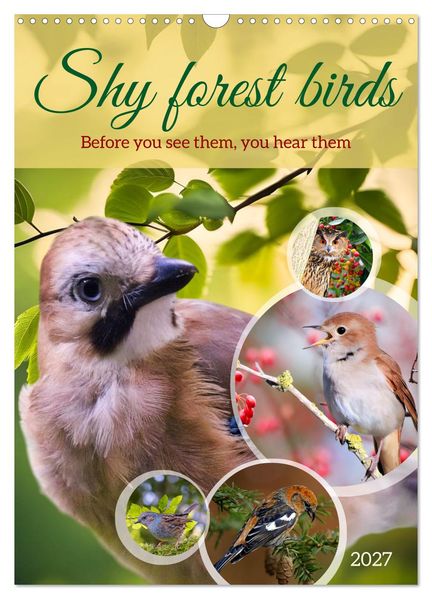 Shy forest birds (Wall Calendar 2027 DIN A3 portrait) CALVENDO 12 Month Wall Calendar