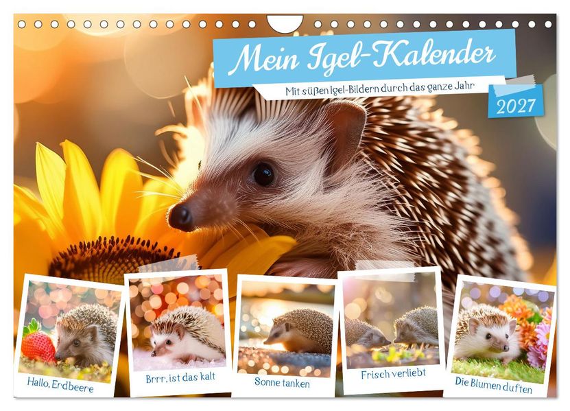 Mein Igel-Kalender (Wandkalender 2027 DIN A4 quer) CALVENDO Monatskalender