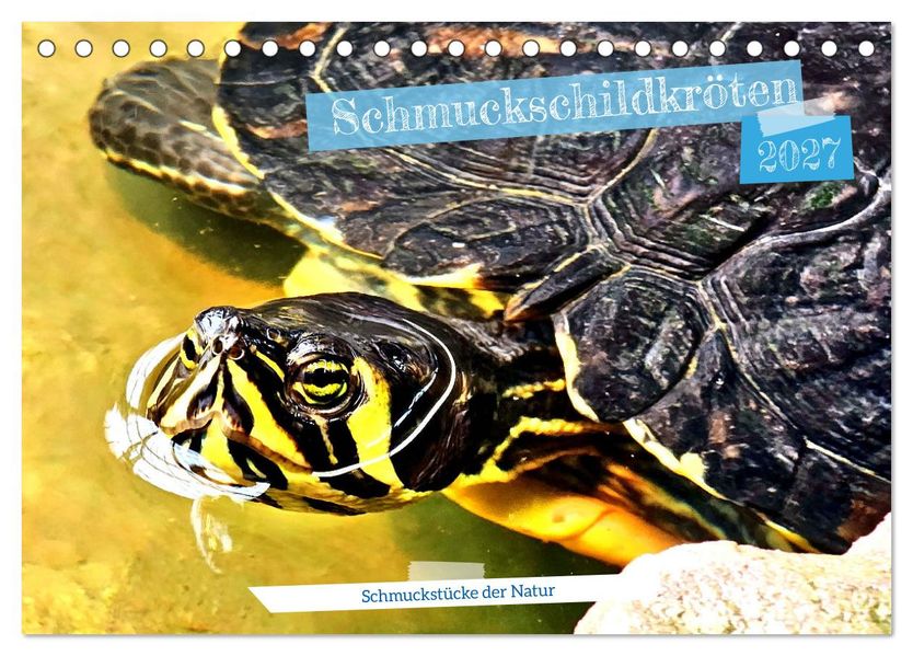 Schmuckschildkröten - Schmuckstücke der Natur (Tischkalender 2027 DIN A5 quer) CALVENDO Monatskalender