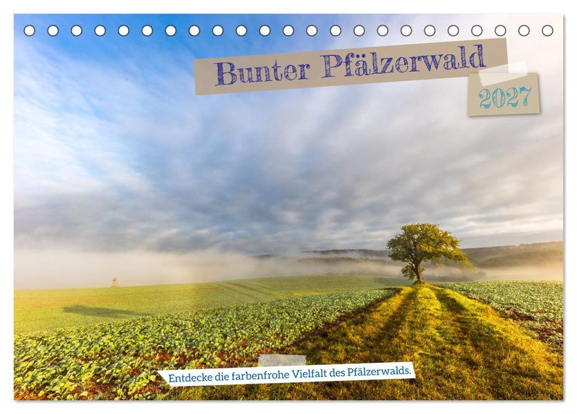 Bunter Pfälzerwald (Tischkalender 2027 DIN A5 quer) CALVENDO Monatskalender