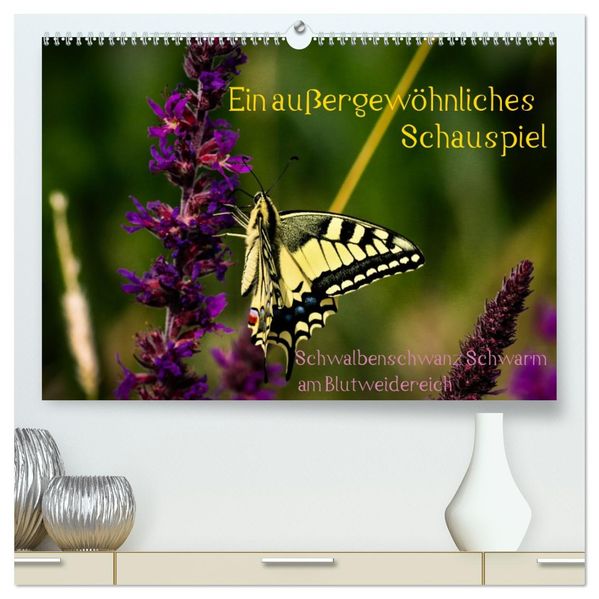 Ein außergewöhnliches Schauspiel (hochwertiger Premium Wandkalender 2027 DIN A2 quer) Kunstdruck in Hochglanz