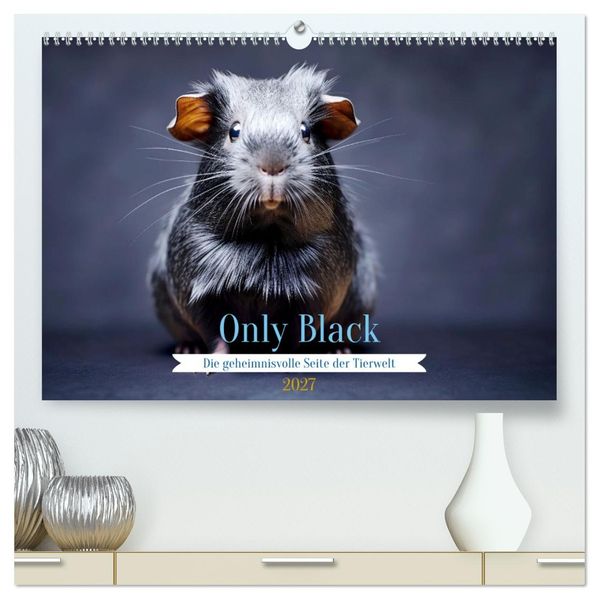Only Black (hochwertiger Premium Wandkalender 2027 DIN A2 quer) Kunstdruck in Hochglanz