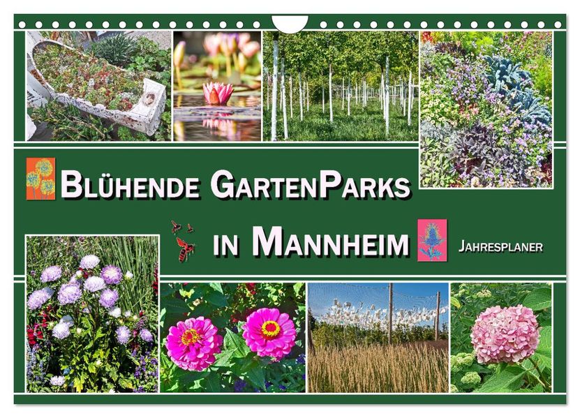 Blühende Gartenparks in Mannheim (Wandkalender 2027 DIN A4 quer) CALVENDO Monatskalender