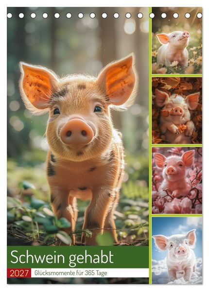 Schwein gehabt (Tischkalender 2027 DIN A5 hoch) CALVENDO Monatskalender