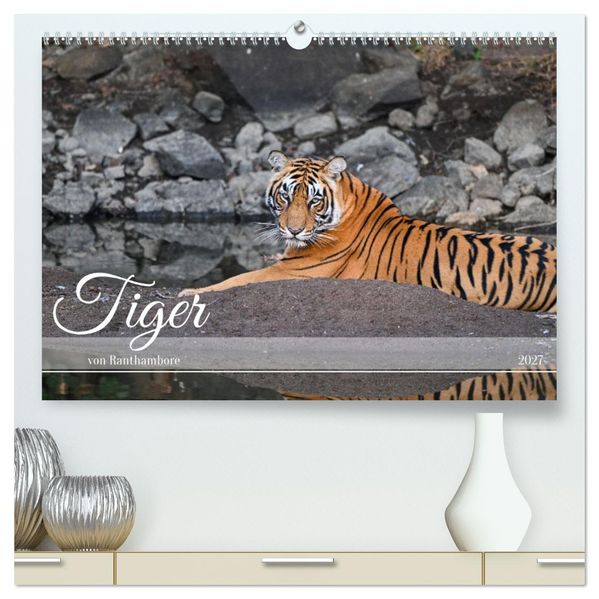 Tiger von Ranthambore (hochwertiger Premium Wandkalender 2027 DIN A2 quer) Kunstdruck in Hochglanz