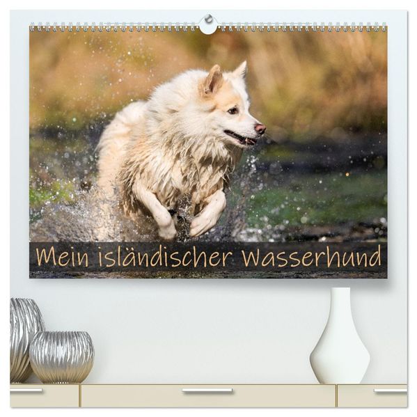 Mein isländischer Wasserhund (hochwertiger Premium Wandkalender 2027 DIN A2 quer) Kunstdruck in Hochglanz