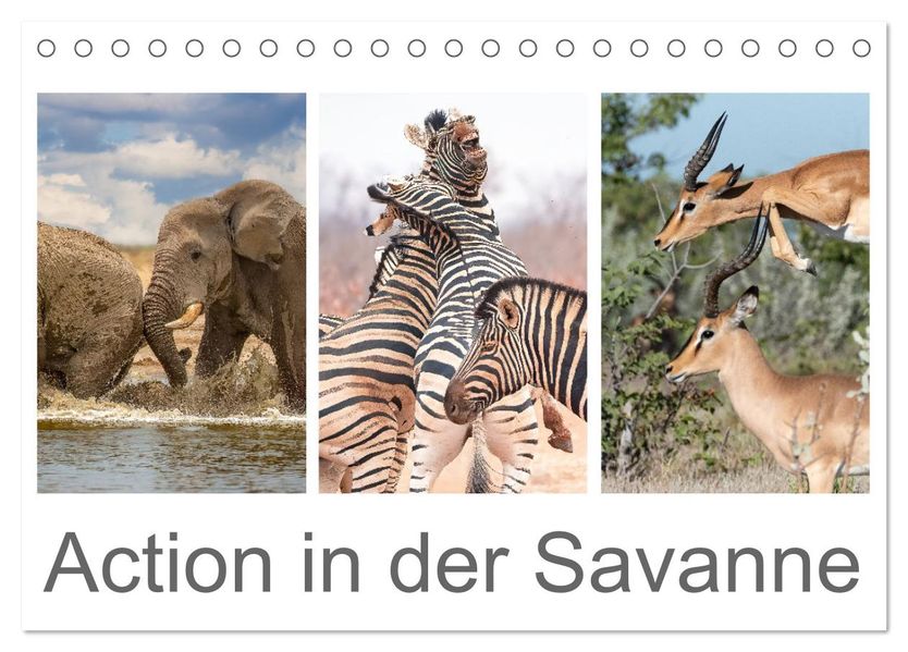 Action in der Savanne (Tischkalender 2027 DIN A5 quer) CALVENDO Monatskalender