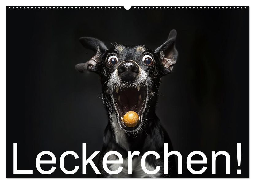Leckerchen! (Wandkalender 2027 DIN A2 quer) CALVENDO Monatskalender