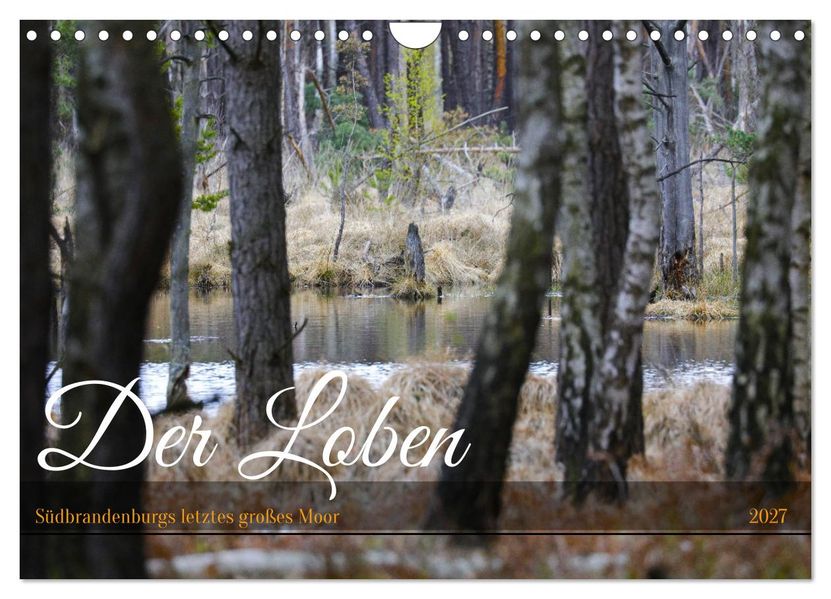 Der Loben. Im Reich der Moorgeister und Kreuzottern- Südbrandenburgs letztes großes Moor (Wandkalender 2027 DIN A4 quer) CALVENDO Monatskalender