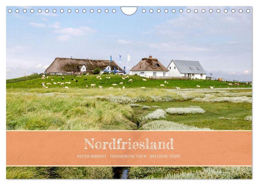 Nordfriesland - weiter Horizont faszinierende Natur idyllische Städte (Wandkalender 2027 DIN A4 quer) CALVENDO Monatskalender
