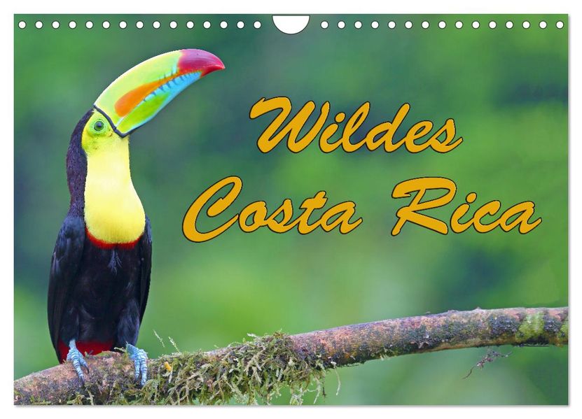 Wildes Costa Rica (Wandkalender 2027 DIN A4 quer) CALVENDO Monatskalender