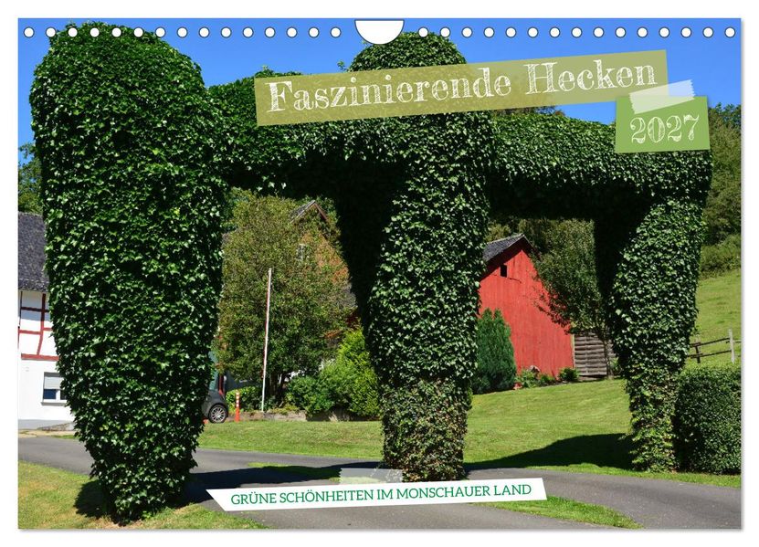 Faszinierende Hecken - Grüne Schönheiten im Monschauer Land (Wandkalender 2027 DIN A4 quer) CALVENDO Monatskalender