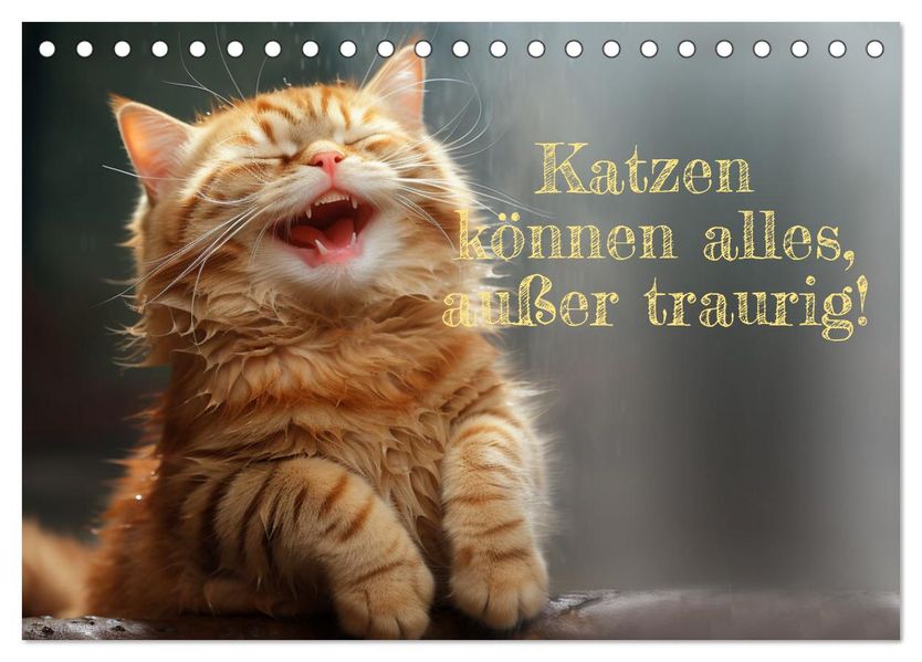Katzen können alles außer traurig. (Tischkalender 2027 DIN A5 quer) CALVENDO Monatskalender