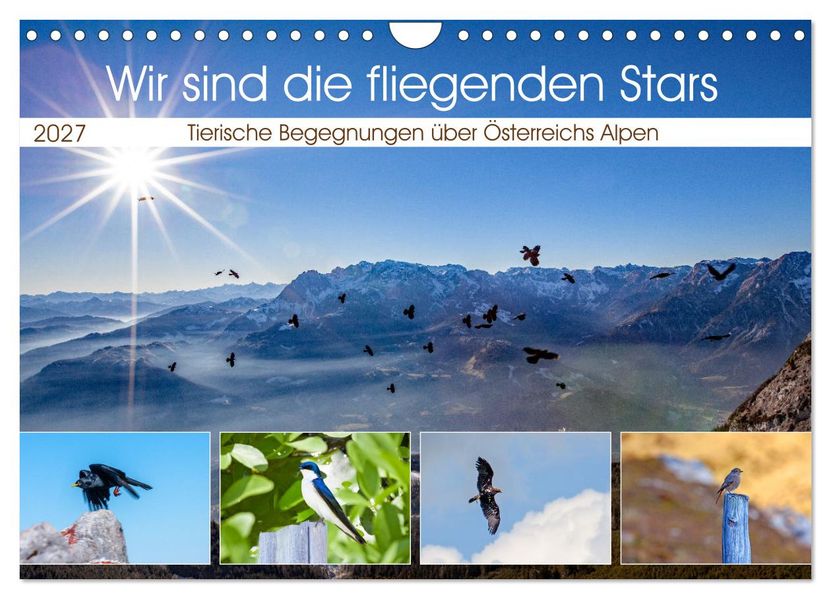 Wir sind die fliegenden Stars (Wandkalender 2027 DIN A4 quer) CALVENDO Monatskalender
