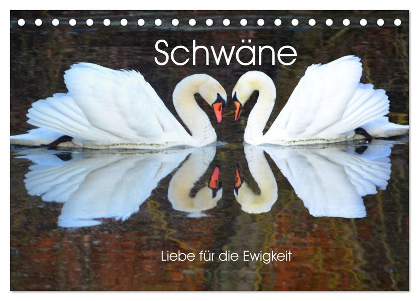Schwäne Liebe für die Ewigkeit (Tischkalender 2027 DIN A5 quer) CALVENDO Monatskalender