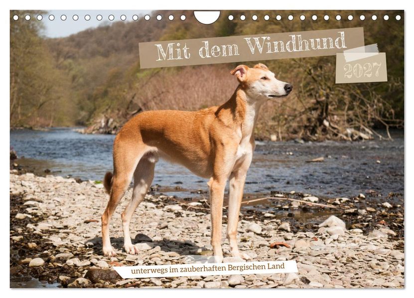 Mit dem Windhund unterwegs im zauberhaften Bergischen Land (Wandkalender 2027 DIN A4 quer) CALVENDO Monatskalender