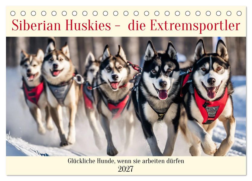 Siberian Huskies - die Extremsportler (Tischkalender 2027 DIN A5 quer) CALVENDO Monatskalender