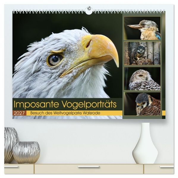 Imposante Vogelporträts (hochwertiger Premium Wandkalender 2027 DIN A2 quer) Kunstdruck in Hochglanz