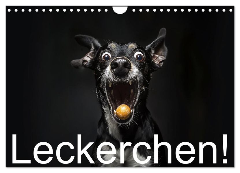 Leckerchen! (Wandkalender 2027 DIN A4 quer) CALVENDO Monatskalender