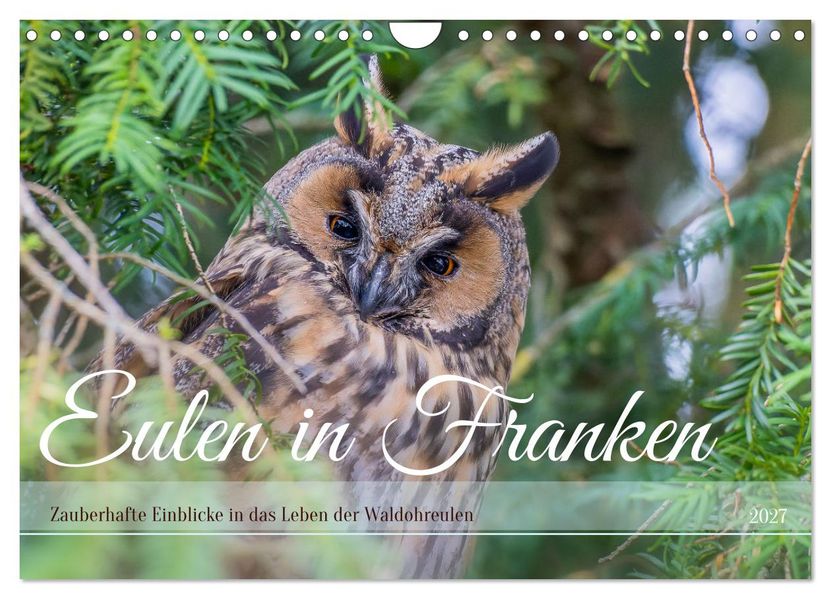Eulen in Franken (Wandkalender 2027 DIN A4 quer) CALVENDO Monatskalender