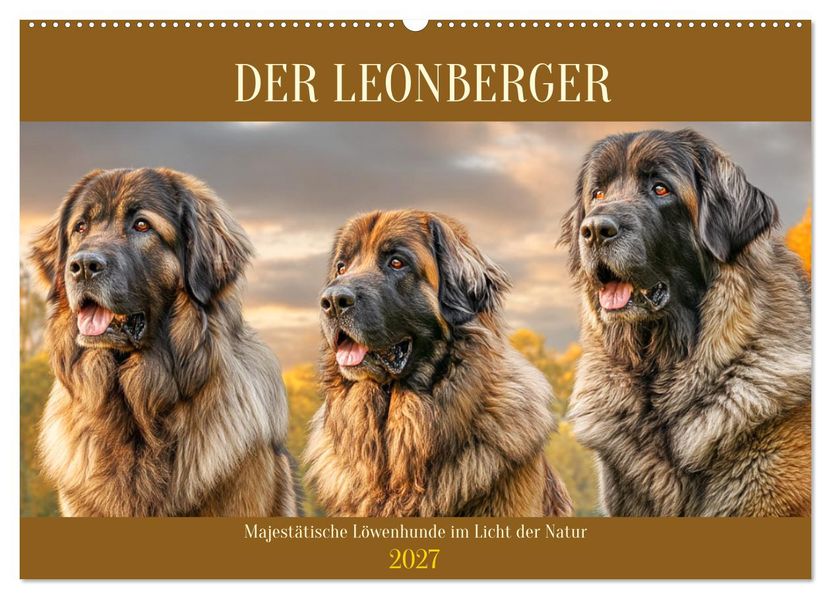 Der Leonberger. Majestätische Löwenhunde im Licht der Natur (Wandkalender 2027 DIN A2 quer) CALVENDO Monatskalender