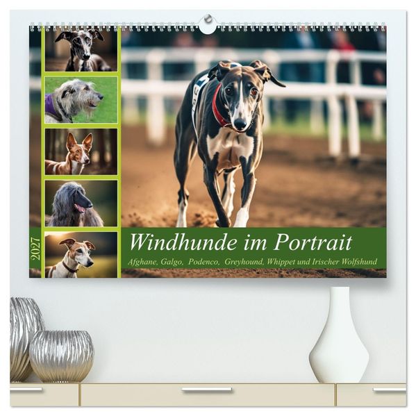 Windhunde im Portrait (hochwertiger Premium Wandkalender 2027 DIN A2 quer) Kunstdruck in Hochglanz